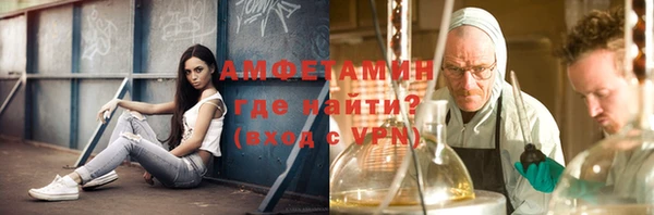 сатива Беломорск