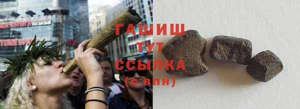 сатива Беломорск