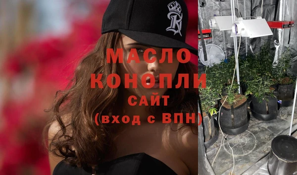 сатива Беломорск